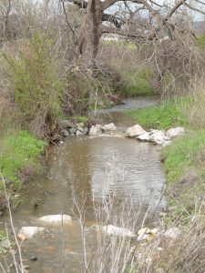 natural creek on the vineyard property