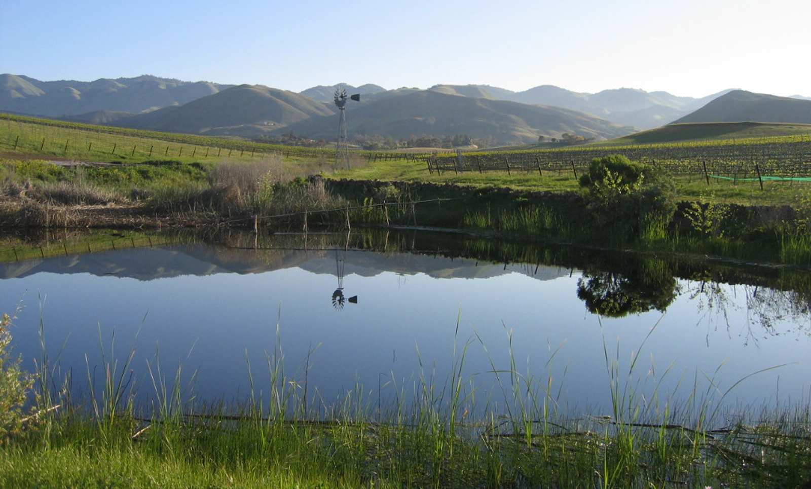 A pond reflects the beauty of the Edna Valley at Wolff Vineyards