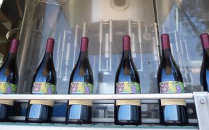 Wine bottles in production, showing finished winte bottles coming off of the bottling line